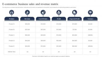 E Commerce Business Sales And Revenue Matrix