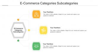 E Commerce Categories Subcategories Ppt Powerpoint Presentation Professional Tips Cpb