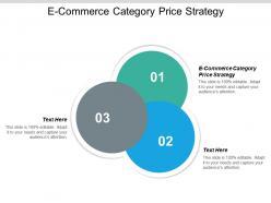 E commerce category price strategy ppt powerpoint presentation gallery graphics example cpb