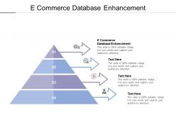 E commerce database enhancement ppt powerpoint presentation slides ideas cpb