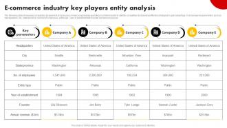 E Commerce Industry Key Players Entity Analysis Strategies For Building Strategy SS V