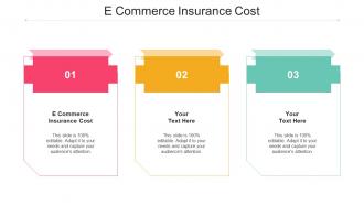E Commerce Insurance Cost Ppt Powerpoint Presentation Summary Display Cpb