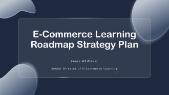 E Commerce Learning Roadmap Strategy Plan PPT Slides VA