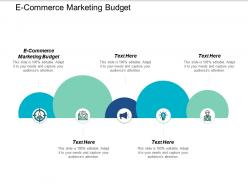E commerce marketing budget ppt powerpoint presentation styles deck cpb