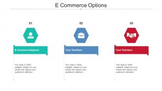 E Commerce Options Ppt Powerpoint Presentation Themes Cpb