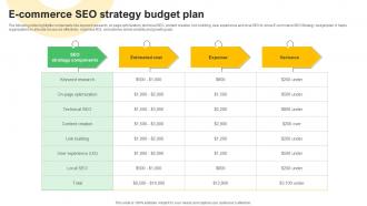 E Commerce SEO Strategy Budget Plan