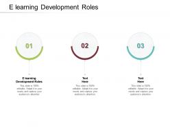 E learning development roles ppt powerpoint presentation layouts example cpb
