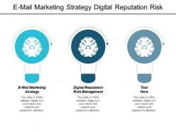 E mail marketing strategy digital reputation risk management department structure cpb