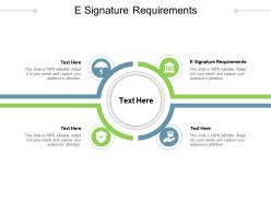E signature requirements ppt powerpoint presentation icon outfit cpb