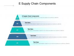 E supply chain components ppt powerpoint presentation outline cpb