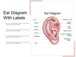 Ear diagram with labels