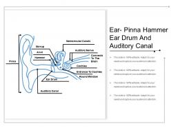 Ear pinna hammer ear drum and auditory canal