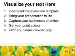 Easter chicks festival powerpoint templates and powerpoint backgrounds 0111
