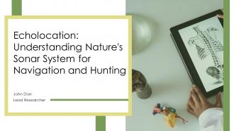 Echolocation Understanding Natures Sonar System For Navigation And Hunting PPT Presentation ST AI