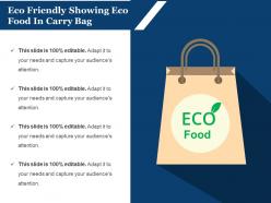 Eco friendly showing eco food in carry bag