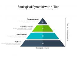 Ecological pyramid with 4 tier