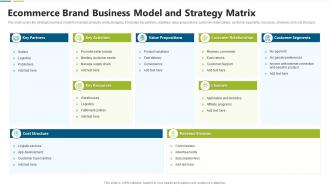 Ecommerce brand business model and strategy matrix