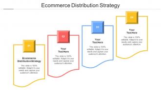 Ecommerce Distribution Strategy Ppt Powerpoint Presentation Infographics Files Cpb