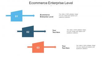 Ecommerce Enterprise Level Ppt Powerpoint Presentation Infographic Template Show Cpb