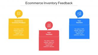 Ecommerce Inventory Feedback Ppt Powerpoint Presentation File Formats Cpb