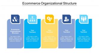 Ecommerce organizational structure ppt powerpoint presentation portfolio ideas cpb