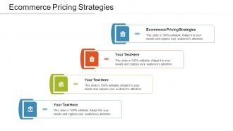 Ecommerce Pricing Strategies Ppt Powerpoint Presentation Infographics Cpb