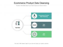 Ecommerce product data cleansing ppt powerpoint presentation portfolio design ideas cpb