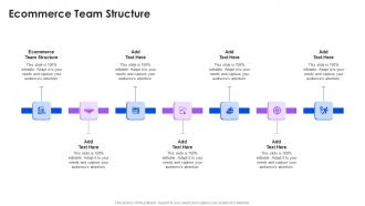 Ecommerce Team Structure In Powerpoint And Google Slides Cpb