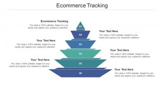 Ecommerce tracking ppt powerpoint presentation infographics example cpb