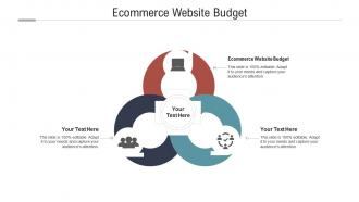 Ecommerce website budget ppt powerpoint presentation outline example topics cpb