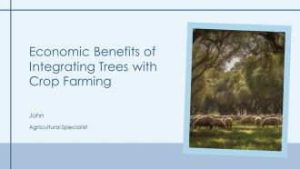 Economic Benefits Of Integrating Trees With Crop Farming PPT Structure AT Economic Benefits Of Integrating Trees With Crop Farming PPT Structure AT
