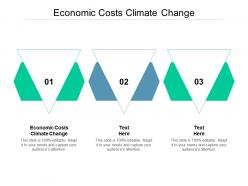 Economic costs climate change ppt powerpoint presentation portfolio visuals cpb