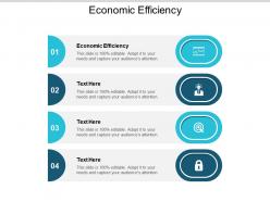 Economic efficiency ppt powerpoint presentation gallery visuals cpb