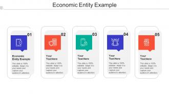 Economic Entity Example Ppt Powerpoint Presentation Styles Maker Cpb
