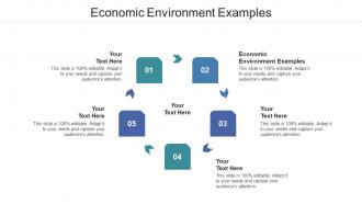 Economic Environment Examples Ppt Powerpoint Presentation Summary Cpb