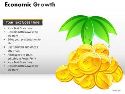 Economic growth powerpoint presentation slides
