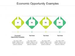 Economic opportunity examples ppt powerpoint presentation infographic template cpb