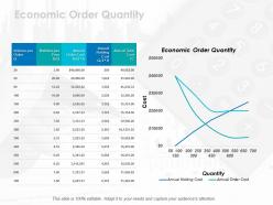 Economic order quantity ppt icon brochure