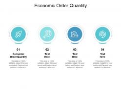 Economic order quantity ppt powerpoint presentation file professional cpb