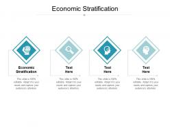Economic stratification ppt powerpoint presentation example cpb