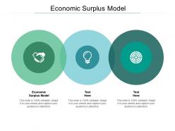 Economic surplus model ppt powerpoint presentation infographic outline cpb