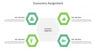 Economics assignment ppt powerpoint presentation portfolio icons cpb
