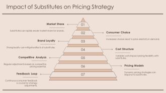 Economics Essentials Substitutes Vs Complements PPT Information AT Graphical Unique