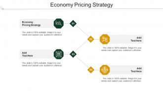 Economy Pricing Strategy Ppt Powerpoint Presentation Portfolio Model Cpb