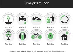 Ecosystem icon ppt presentation examples