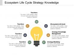 Ecosystem life cycle strategy knowledge management strategy modelling cpb