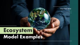 Ecosystem Model Examples Powerpoint Presentation And Google Slides ICP