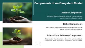 Ecosystem Model Examples Powerpoint Presentation And Google Slides ICP Images Idea