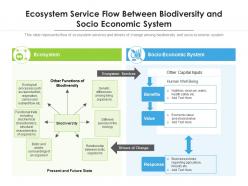 Ecosystem service flow between biodiversity and socio economic system