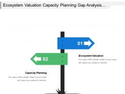 Ecosystem valuation capacity planning gap analysis solution mapping